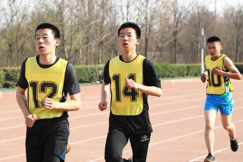 连破四项纪录！高新区中小学生田径运动会精中健儿成绩斐然