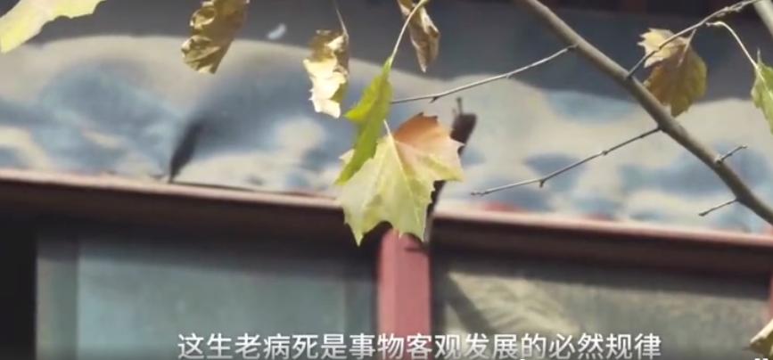 癌症死于过度治疗是真的吗,癌症患者如何避免陷入过度治疗