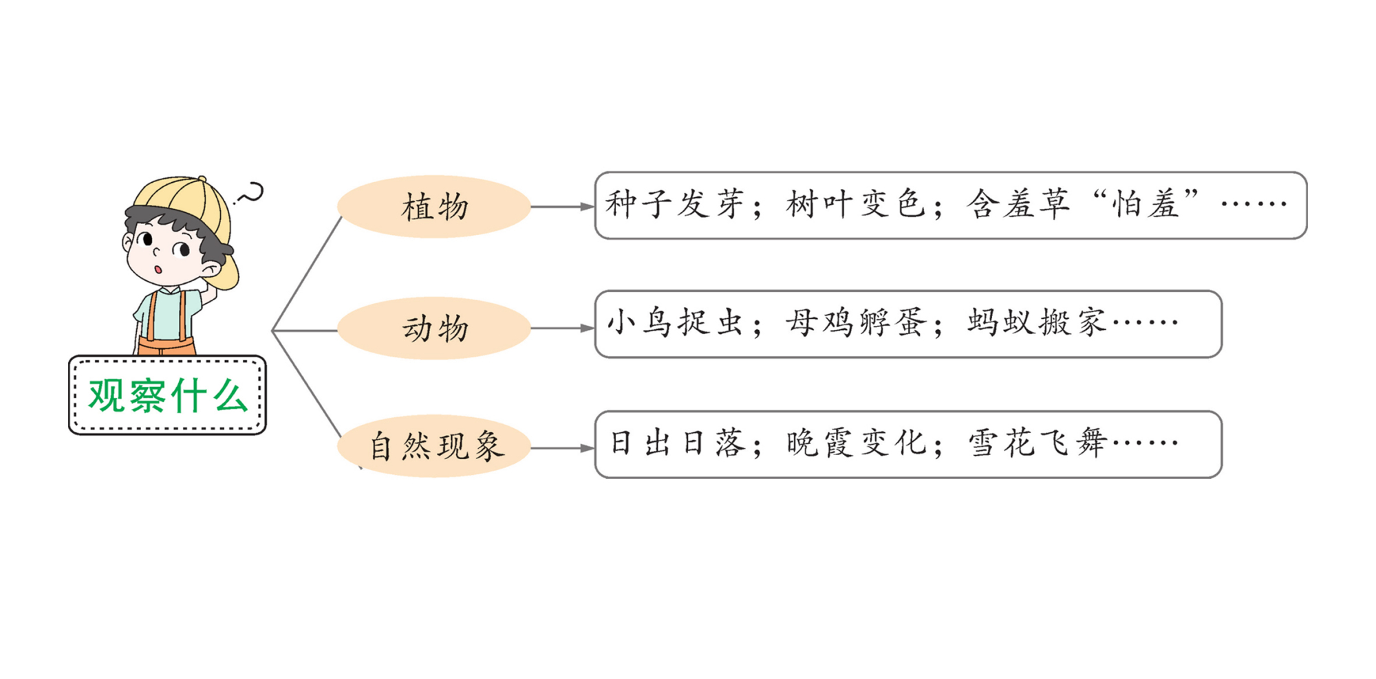关于观察日记的写作方法,写观察日记写法