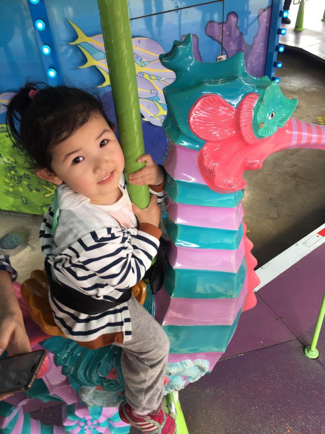 珠海长隆海洋王国附近美食,珠海长隆海洋王国官网预约