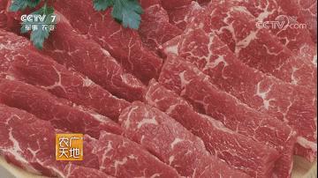 牛年吃牛肉牛气冲天,牛气冲天砂锅牛肉