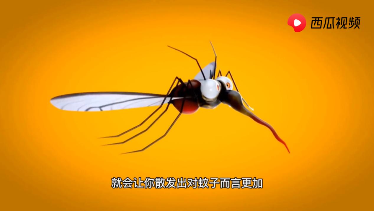 特招蚊子的血型,特招蚊子的人是哪个血型