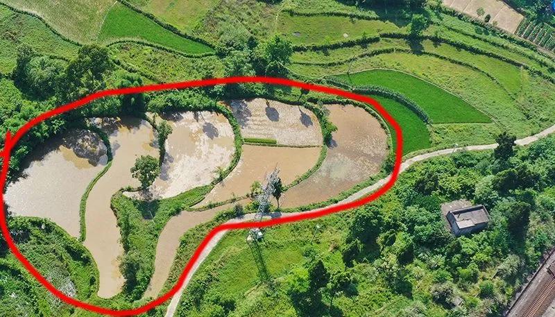 鍏泭璇夎瀹堟姢缇庡ソ鐢熸椿涓撻」鐩戠潱,瀹堟姢缇庝附瀹跺洯鍏泭璇夎