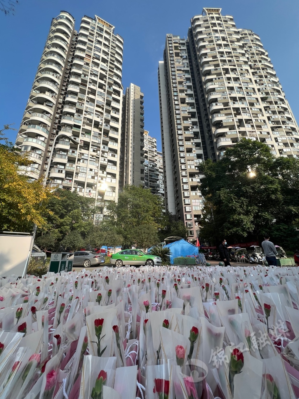 蓝光凯丽香江小区,成都市蓝光凯丽香江