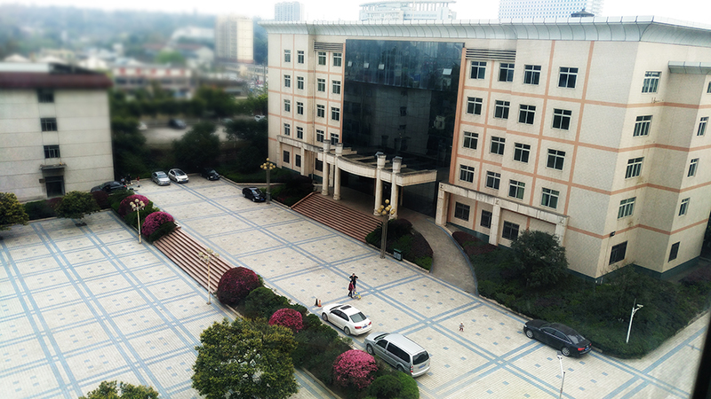 成都卫校排名前十的,成都卫校排名前十的大学