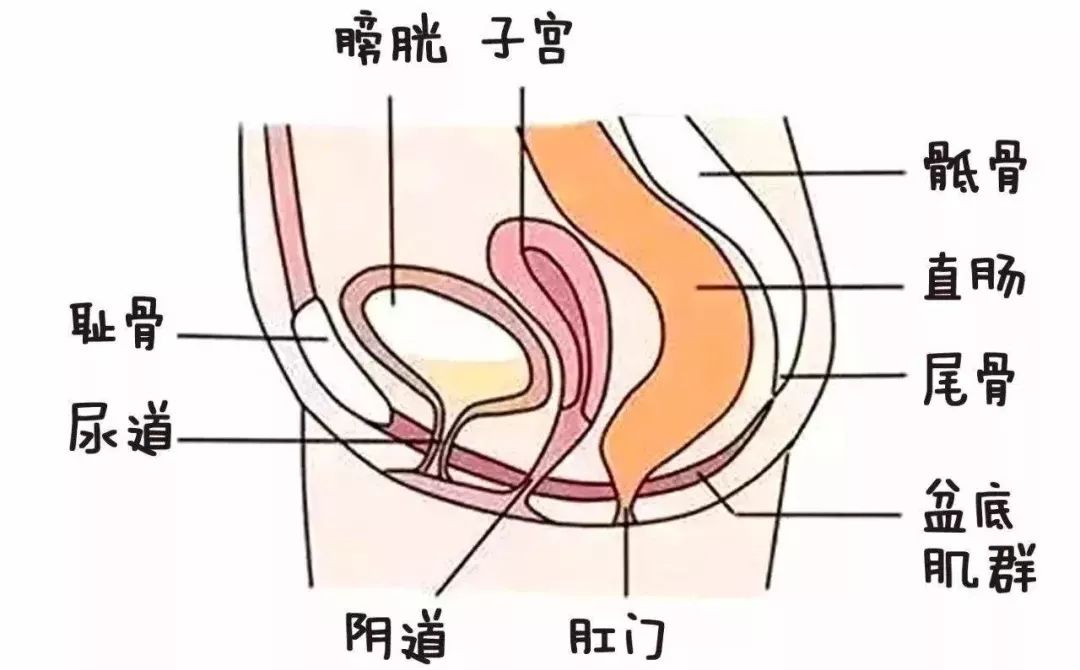 汤唯产后痛哭视频,汤唯产后