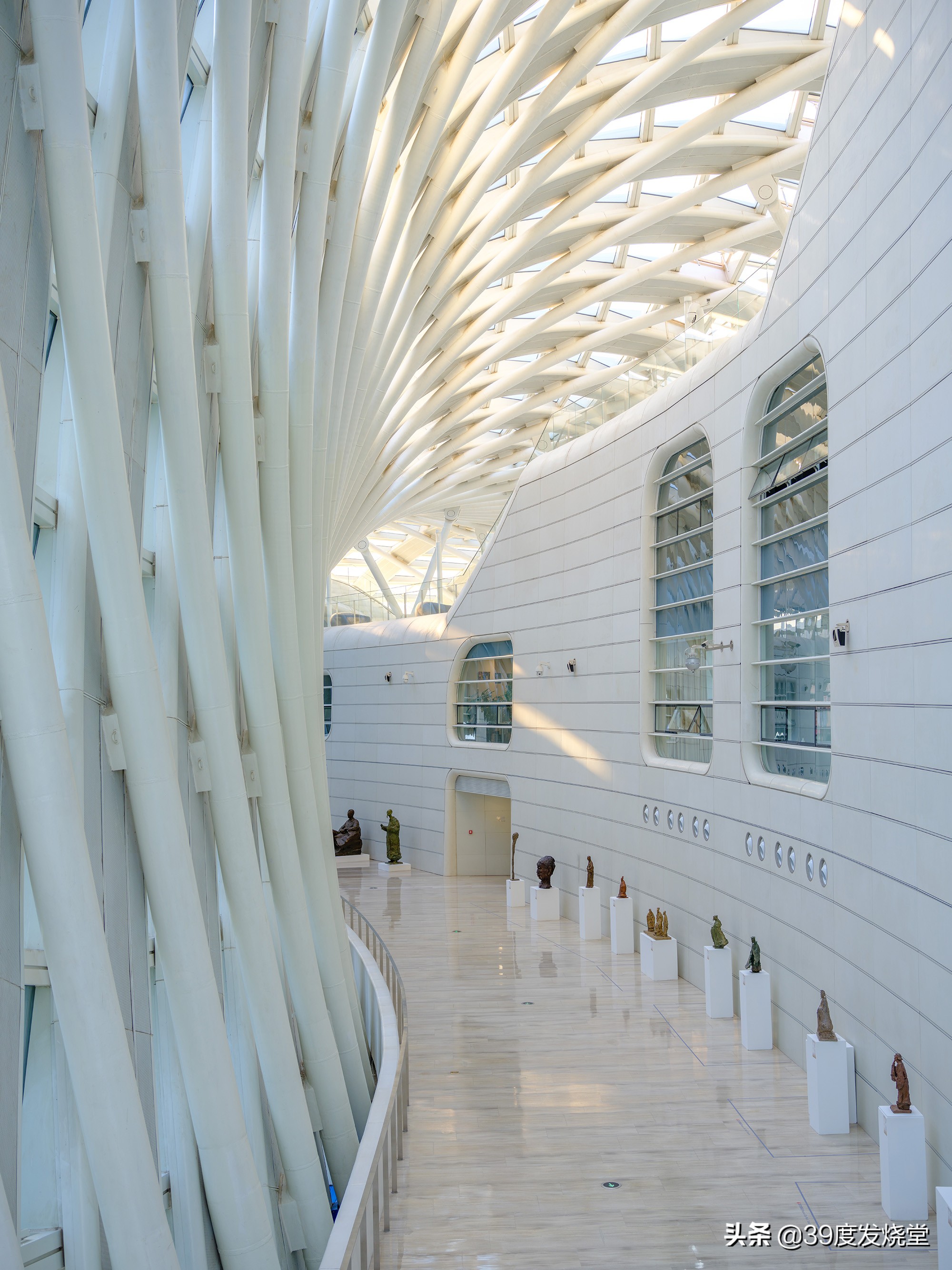 富士xf55-200mm镜头测评,富士gf45镜头测评