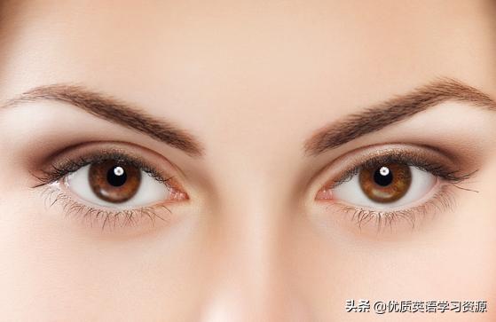 鑻辨枃鐗坢ybestfriend,鑻辫mybestfriend瑙嗛