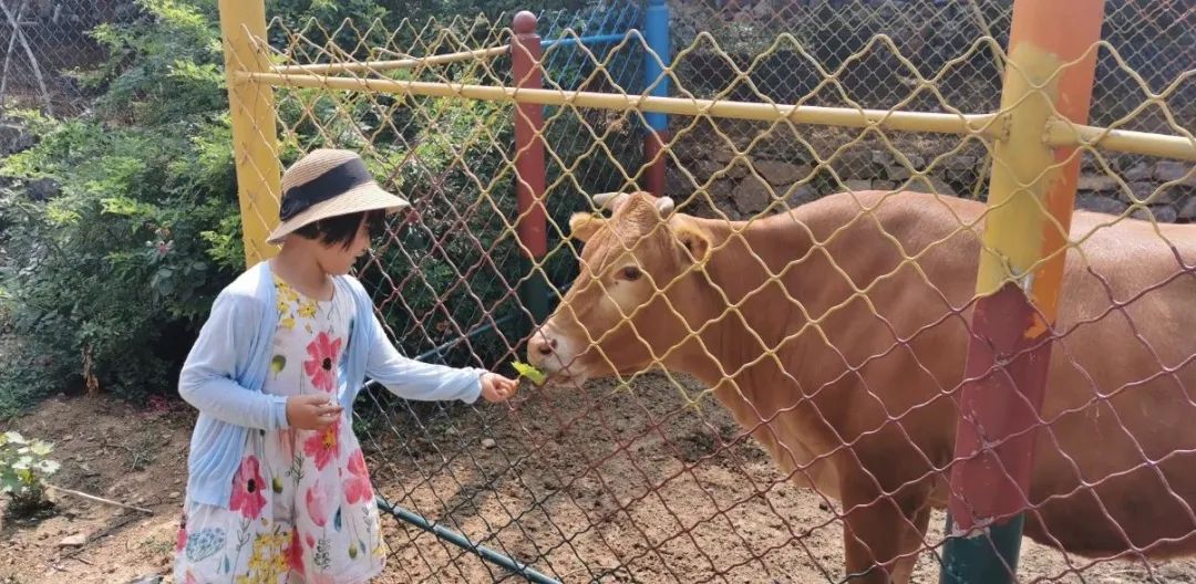 济南适合遛娃的免费去处,春节遛娃好去处济南