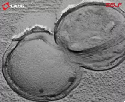 塑料大概多少年才能在自然界降解,塑料究竟可以降解吗