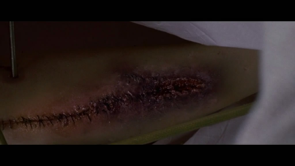 你是自由的出处,你是自由的吗日语教学