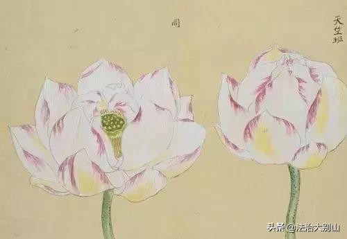 语文拓展100个容易被误用的成语,常见成语及成语误用的类型