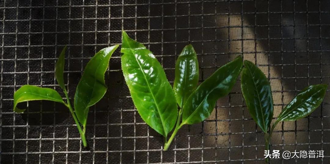 云南必去的10个宝藏打卡地,云南宝藏打卡圣地