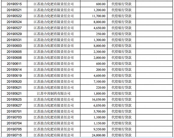 红太阳大股东的钱去了哪里,红太阳大股东