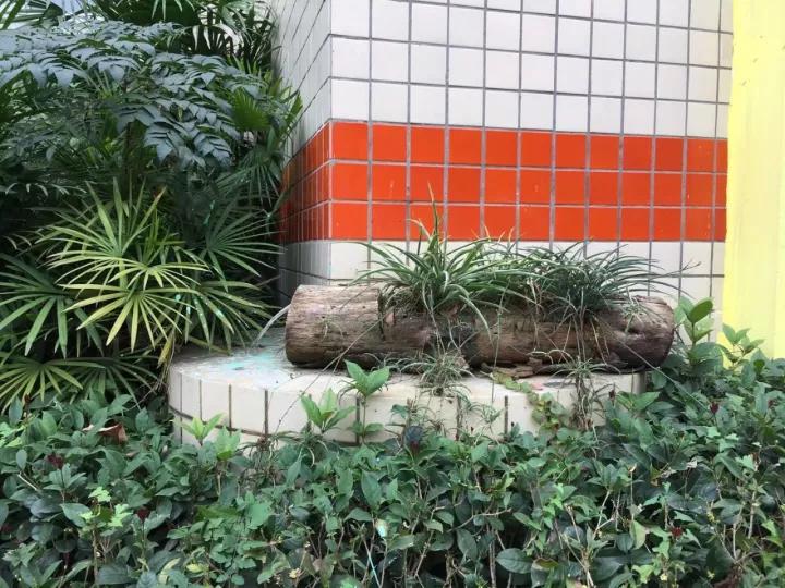 4.13重庆逐梦歌乐山上的“巴学园”探索“世界级乡村幼儿园