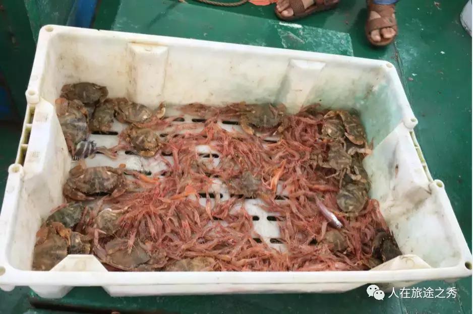 嵊泗看海一日游,想去嵊泗看海