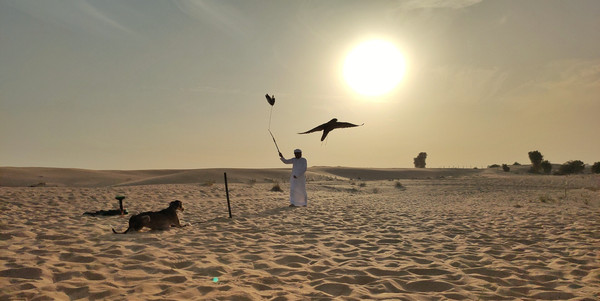 迪拜不为人知的秘密,迪拜的不为人知的事情