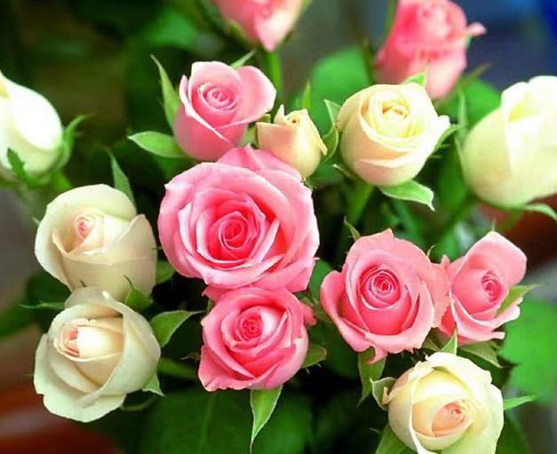 从生活中感悟中医,从二十四节气中悟人生哲理