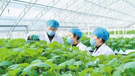 关于脱贫攻坚决战决胜之年的文章,书写奋进新时代的优秀答卷