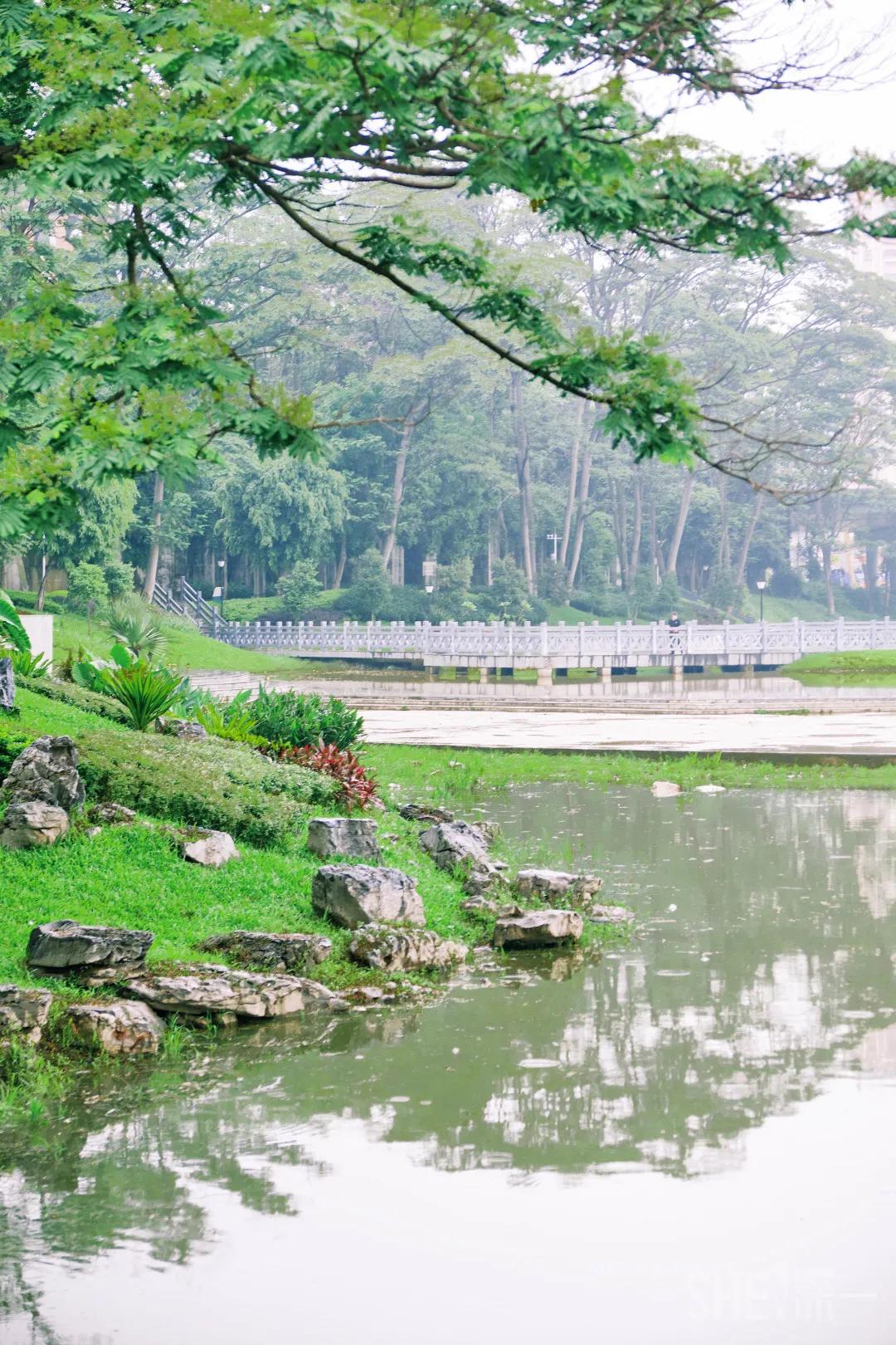 深圳八大绝美公园,山水公园深圳