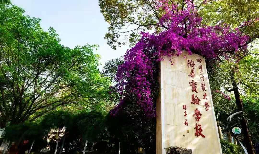 成都高新区四川省教科院附属小学,成都师大附属小学有哪些