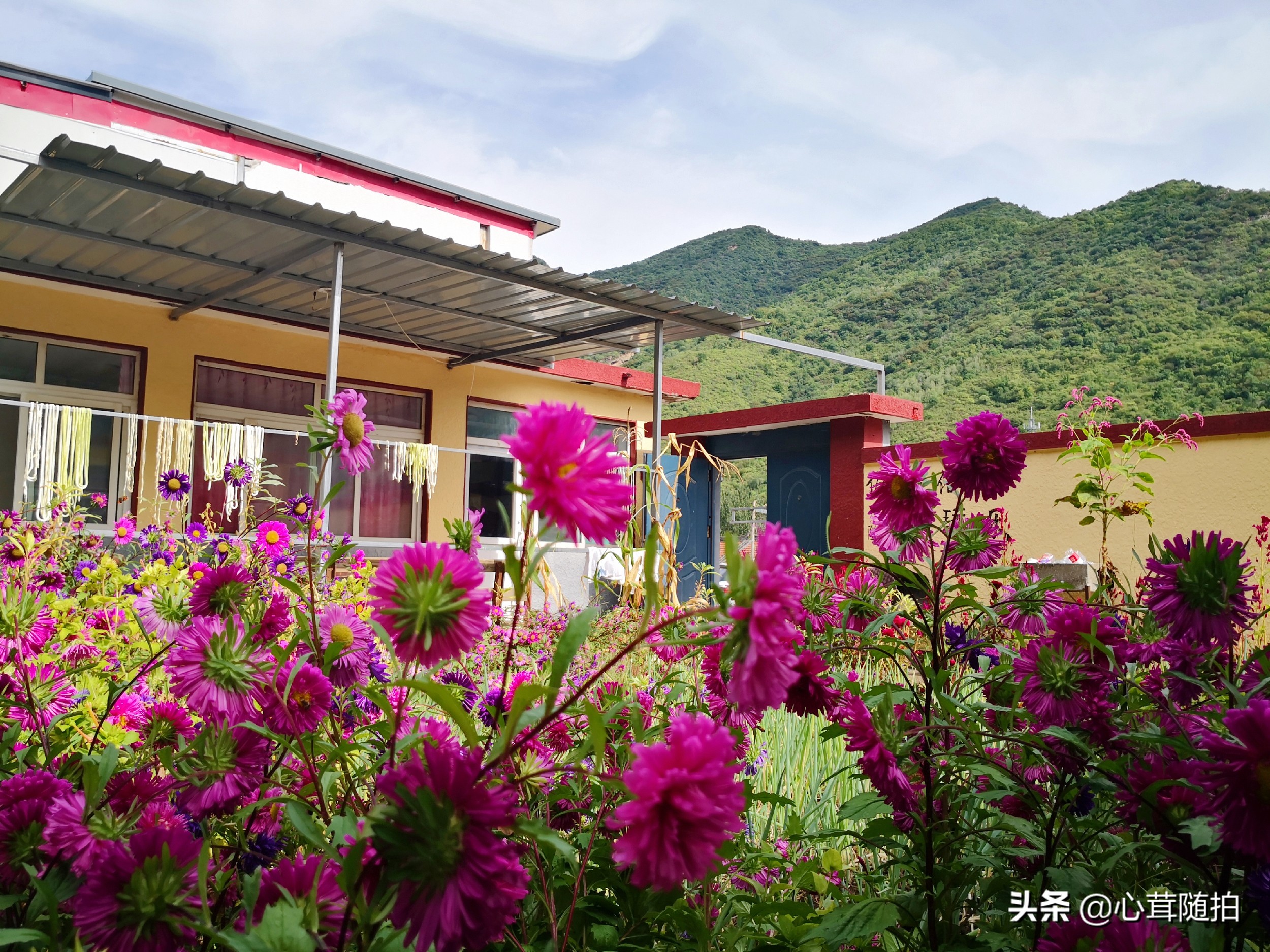 自驾白河湾,白河湾自然风景区自驾