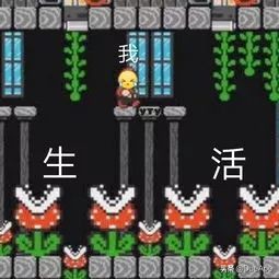 中国留学生被逼疯视频,逼疯外国人的中文十级互怼