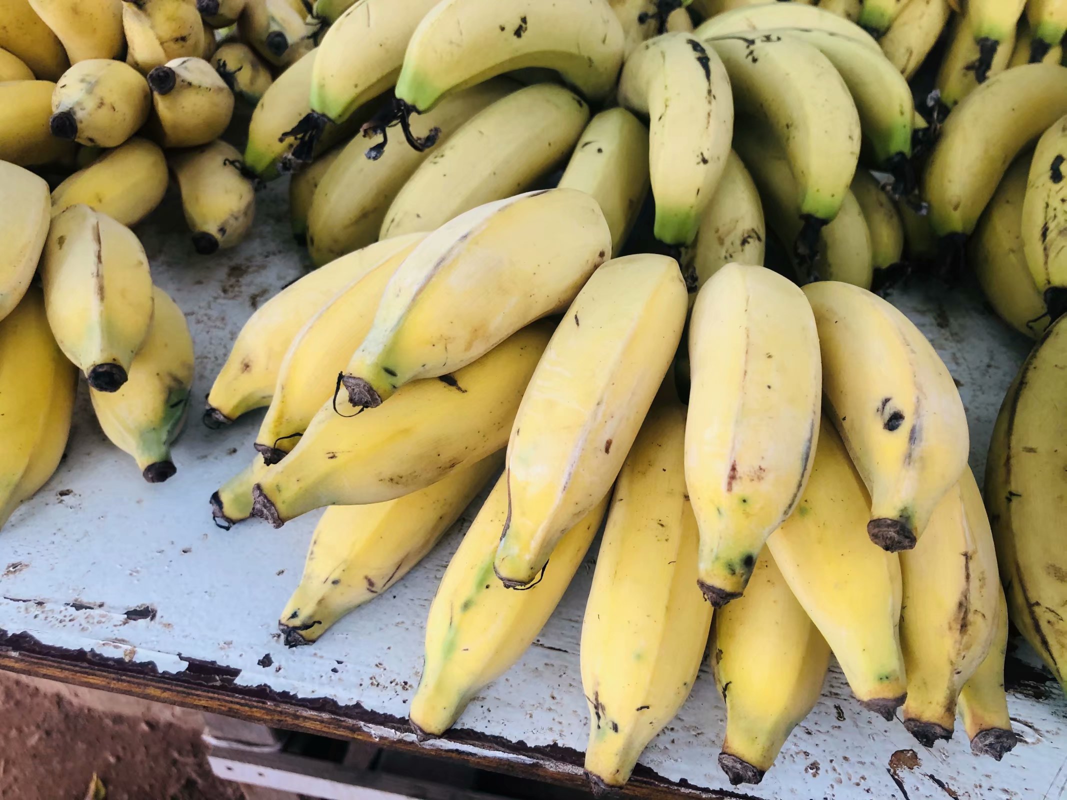 成都夫妻7天花5000玩遍涠洲岛（最后有防踩坑攻略）