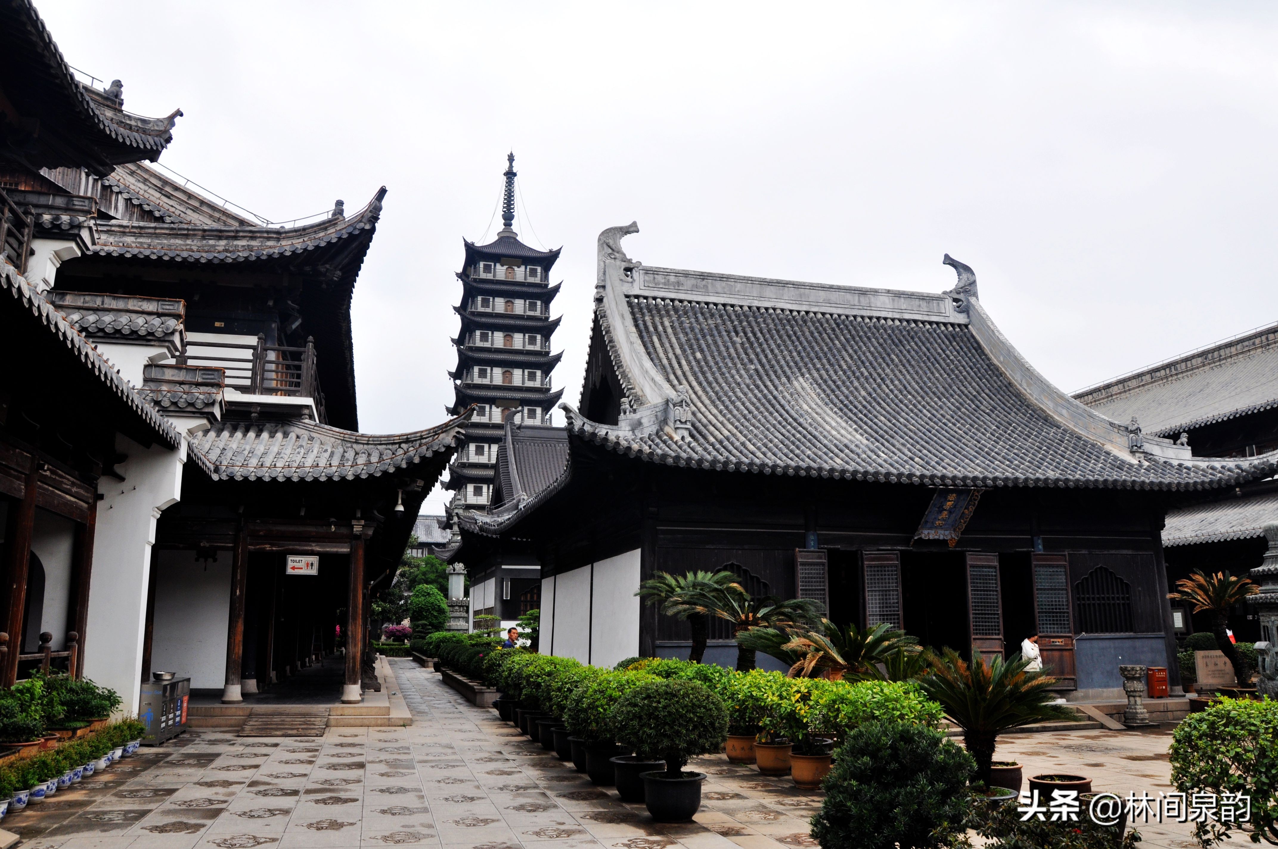 真如寺上海,上海真如寺有多少年历史