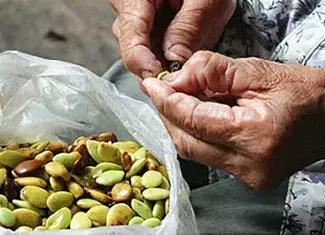 补充胶原蛋白的甜汤,补胶原蛋白甜汤