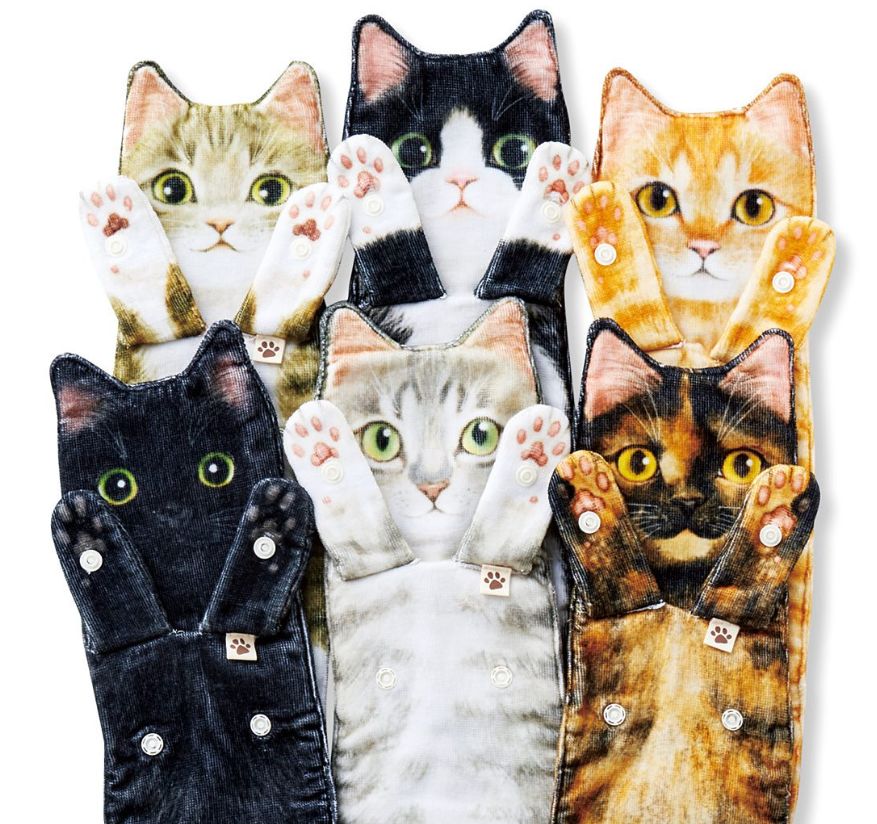 日本人又来骗猫奴们的钱啦！但我心甘情愿掏钱了！