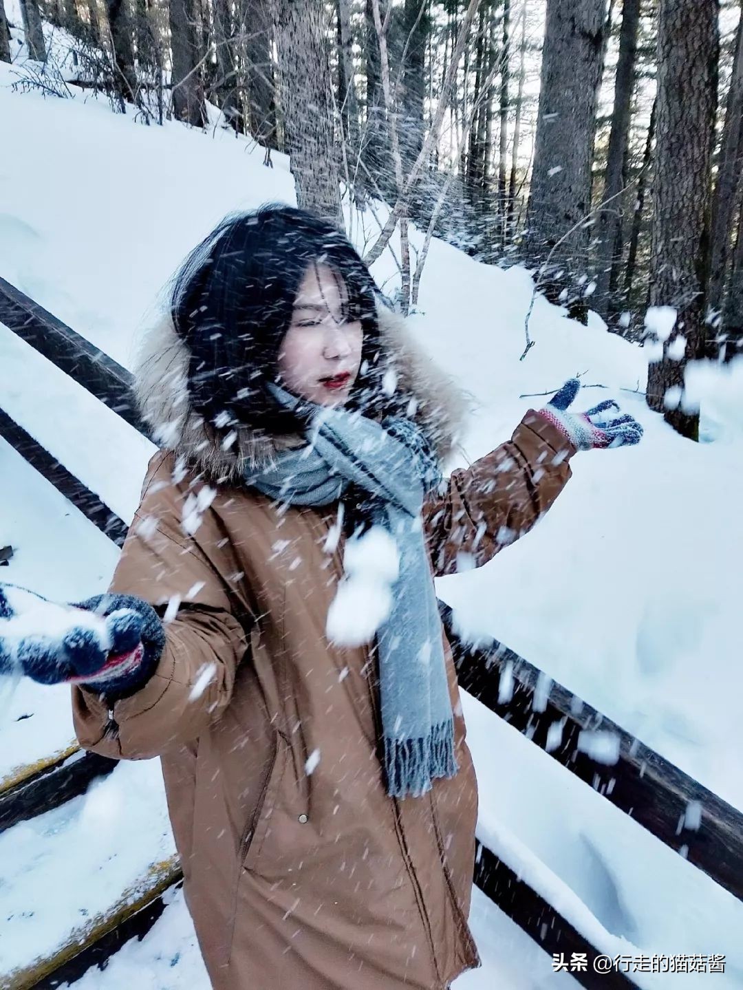 长白山天池猴子泡温泉 (长白山冬天看天池)