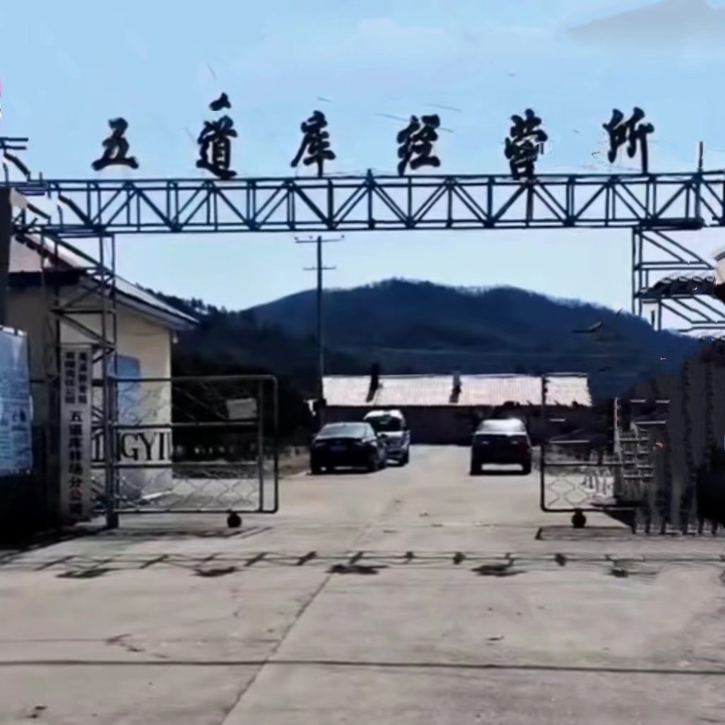 伊春林区往事,伊春林区往事1982年