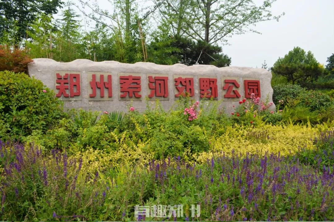 2024年创意好玩日历台历,元旦有趣的台历