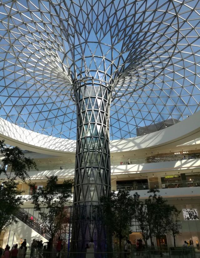 老上海的卢湾区,老上海人回忆卢湾区