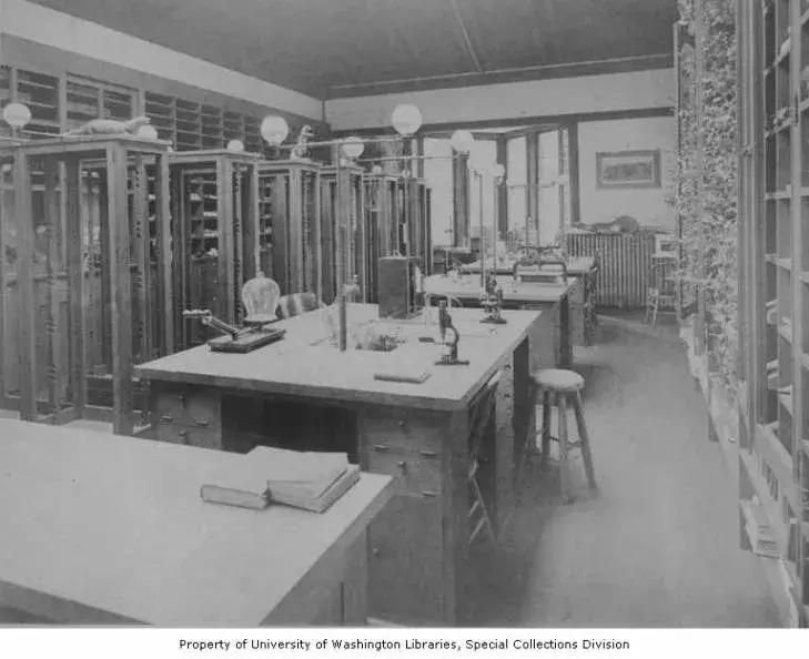 建筑大师们的第一件作品长什么样?