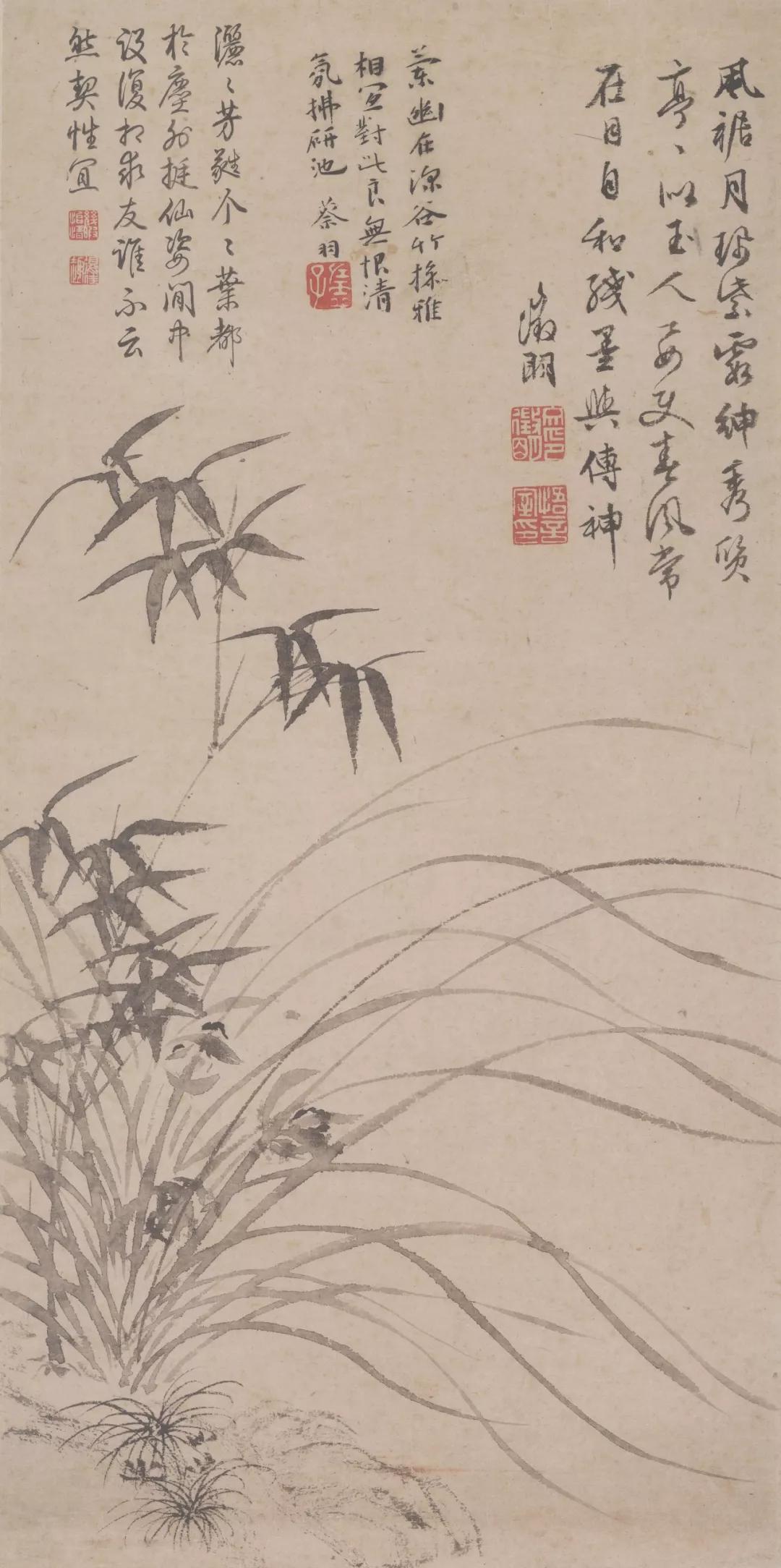 国画兰花加花瓶作品欣赏图片,五幅古代名家笔下的国画兰花欣赏