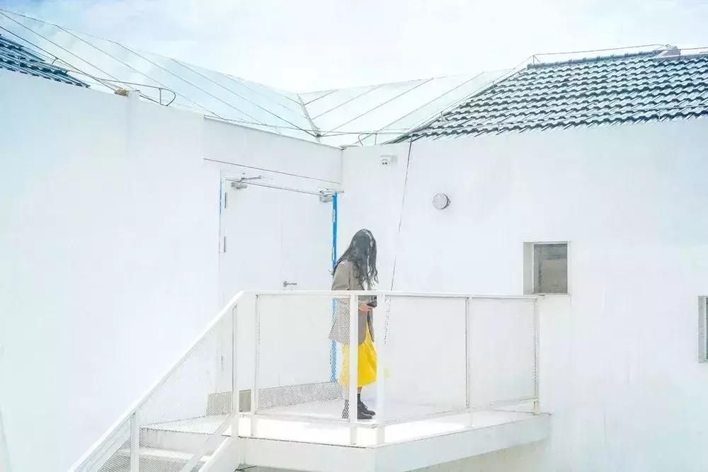 去上海必去的民宿,上海树林民宿推荐