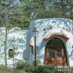 第一次去日本旅游好还是跟团好,第一次去日本跟团