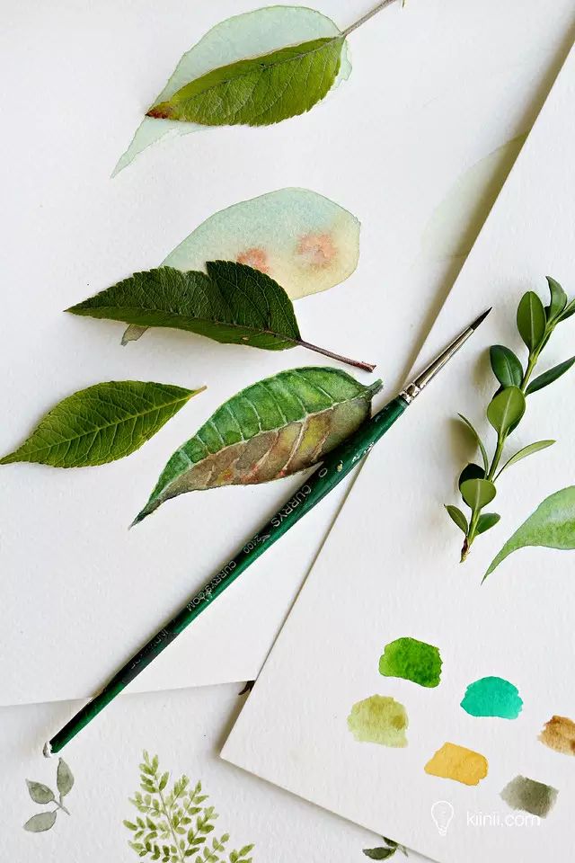 水彩写实草丛画法简单,秋叶彩绘技巧