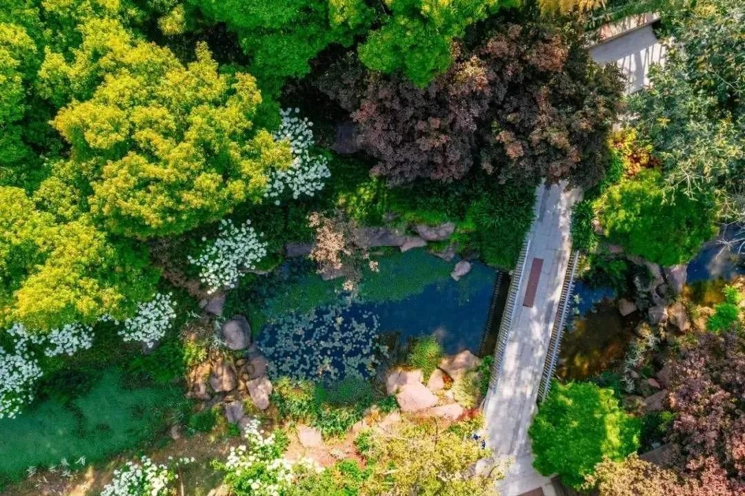 假如只剩一张房票，我会留给天府C区