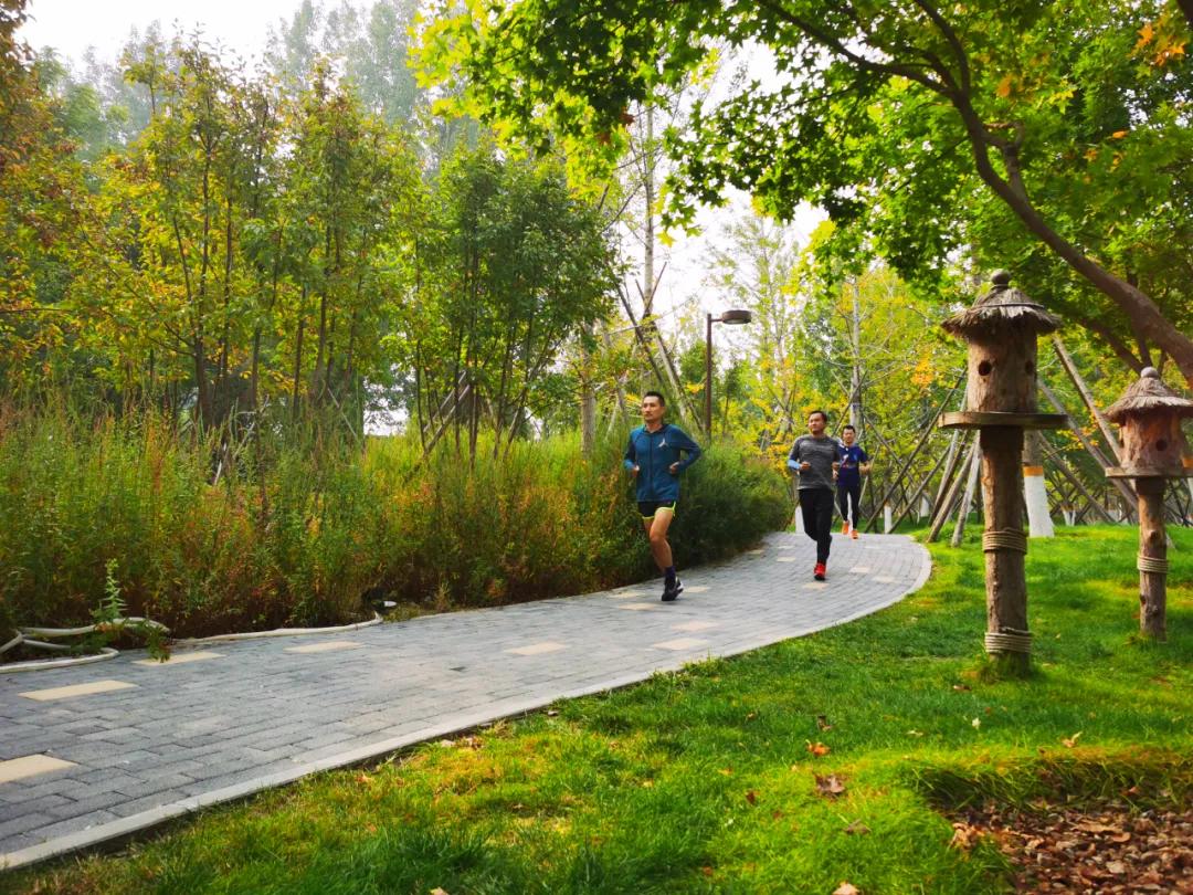 破纪录了！16万人报名参加“回天”这项赛事