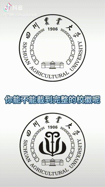 成都一大学换新头像！网友：还是你会玩....