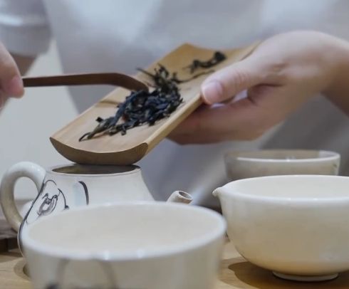 农村乡下种植的兰花,农业种植致富项目兰花