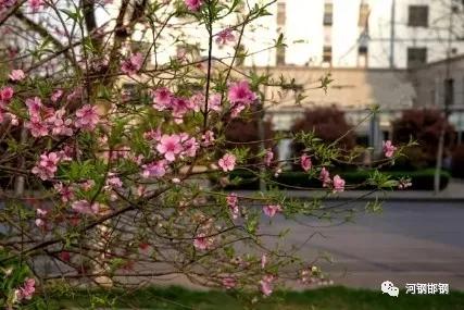 娌抽挗閭挗閾佽矾,娌抽挗閭挗楂樼倝