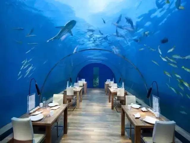 海底餐厅推荐大全,高级海底餐厅