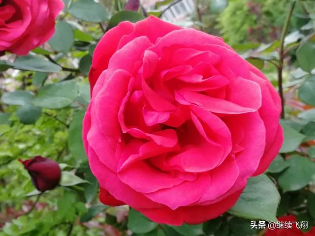 学校开学的方式值得称赞，河南周口市郸城县