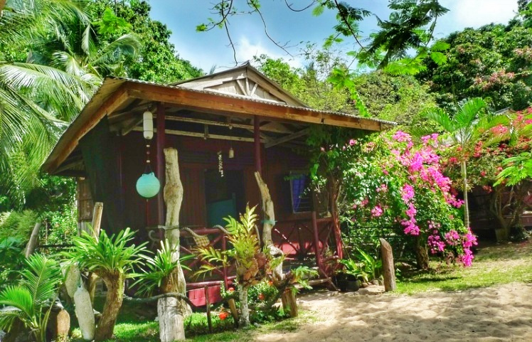 徒步探访马来西亚孤岛小村：医疗免费，孩子辍学家长坐牢