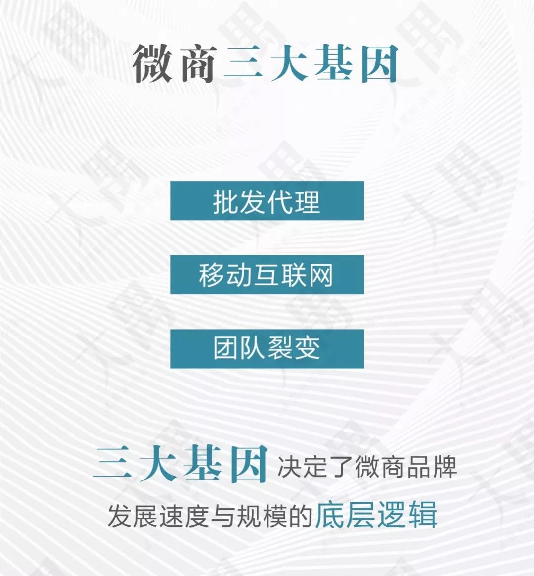 大禺：微商行业遇冷，这些品牌依然强势增长，到底靠的是什么？