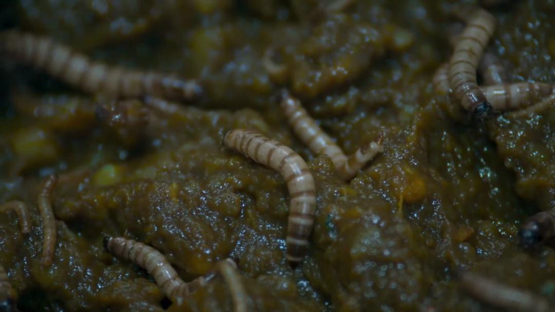 泰国18禁爽剧，终于回来了